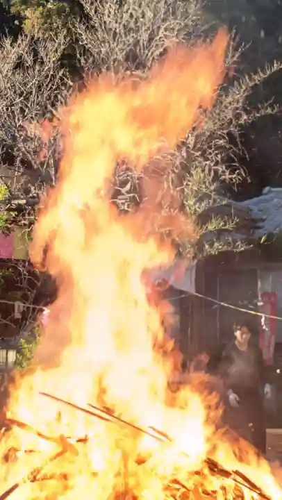 成田観音 円応寺(千葉県)