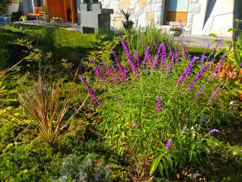 寿量山　速成寺(奈良県)