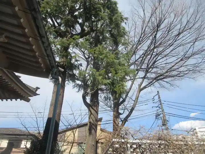 法善寺(東京都)