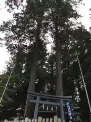 九頭龍神社の自然