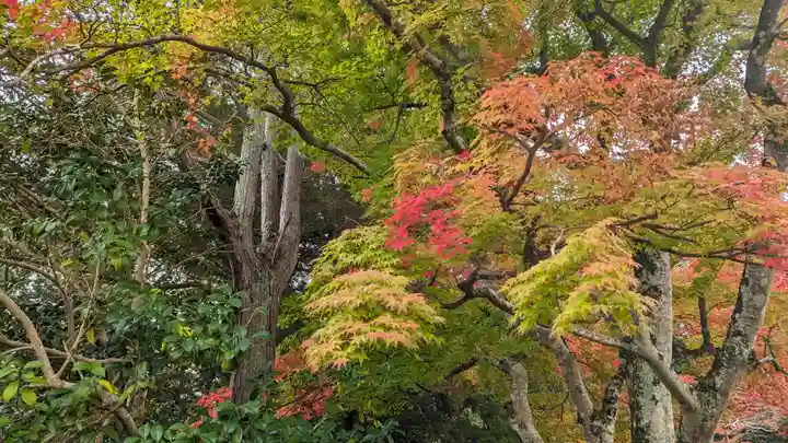 矢田天満宮の自然