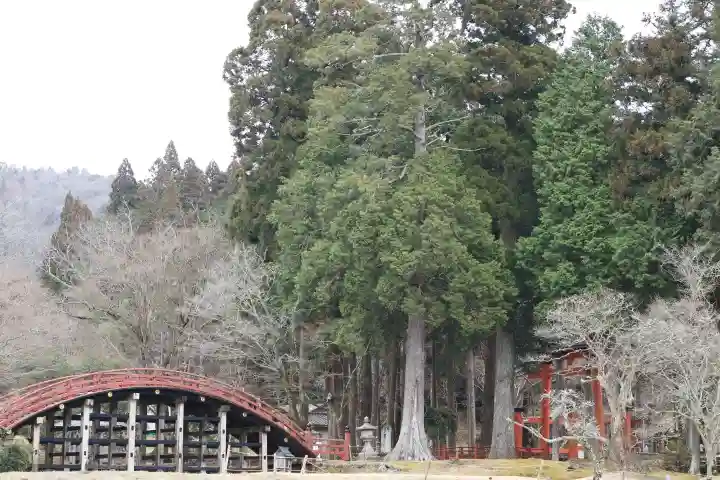 丹生都比売神社の{uncategorized: "未分類", other: "その他", undefined: "問題あり", building: "その他建物", grave: "お墓", sacred_gate: "鳥居", guardian: "狛犬", statue: "像", buddha: "仏像", history: "歴史", nature: "自然", garden: "庭園", animal: "動物", pagoda: "塔", temizu: "手水舎", mountain_gate: "山門・神門", sanctuary: "本殿・本堂", subordinate: "末社・摂社", art: "芸術", scenery: "景色", jizo: "地蔵", ema: "絵馬", goshuin: "御朱印", omikuji: "おみくじ", items: "授与品その他", amulet: "お守り", goshuincho: "御朱印帳", eats: "食事", festival: "お祭り", votive_dance: "神楽", shichigosan: "七五三参", wedding: "結婚式", experience: "体験その他", initially: "初詣", around: "周辺", anti_infection: "感染症対策"}
