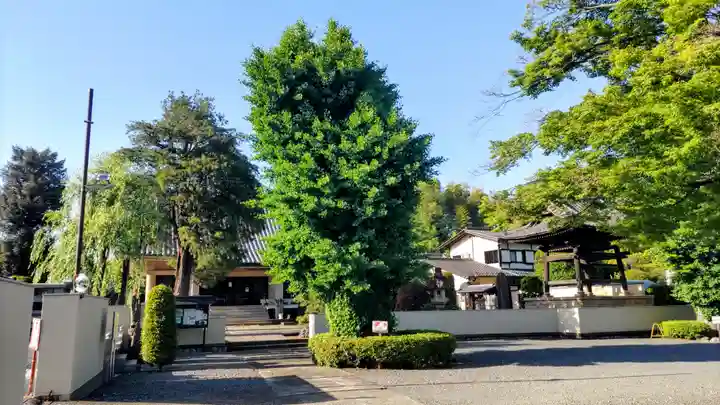 薬王寺(埼玉県)