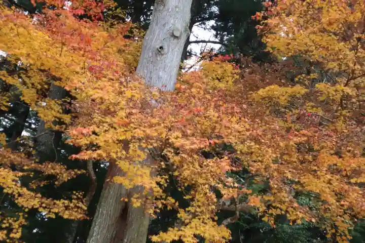 根本大塔 高野山金剛峯寺(和歌山県)