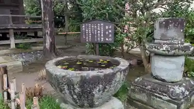 極楽寺（霊鷲山感應院極楽律寺）の手水舎