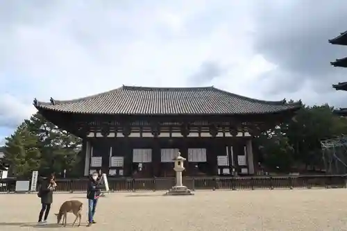 興福寺の本殿・本堂