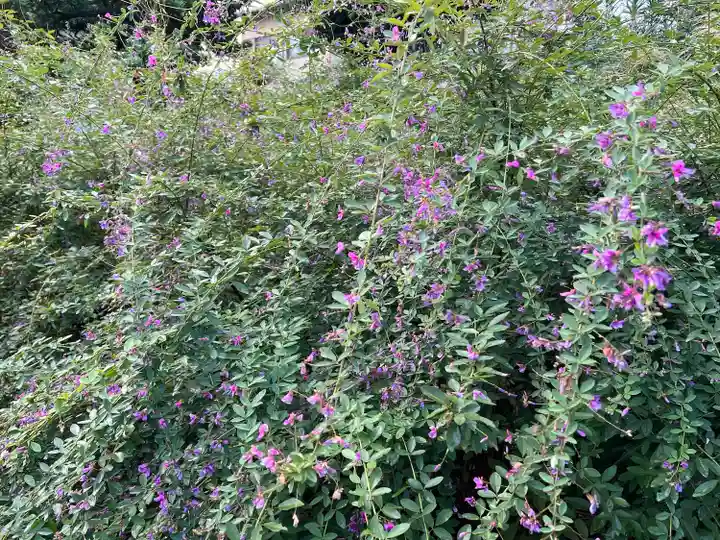 常林寺(京都府)