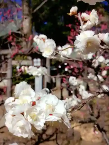 布多天神社(東京都)