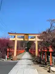 朝日森天満宮の鳥居