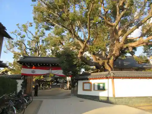 大聖観音寺（あびこ観音）(大阪府)