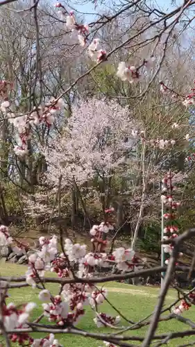 相馬神社の自然