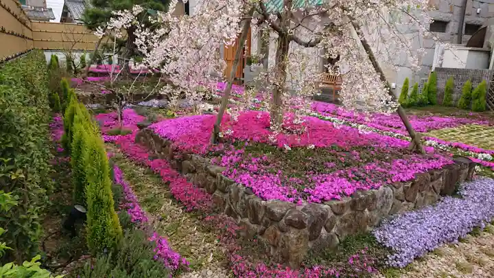 寿量山 速成寺の庭園