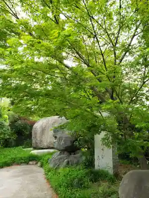 南松寺(東京都)