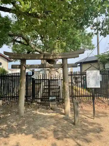 泉穴師神社の鳥居