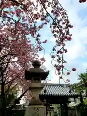 荘厳寺の建物その他