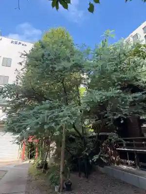 蔵前神社(東京都)