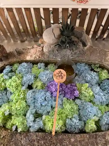 別小江神社の手水