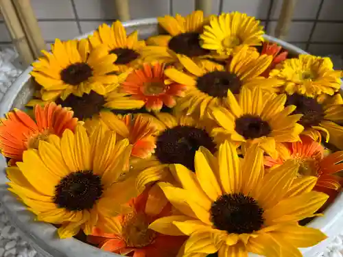 瑞玄寺の手水舎