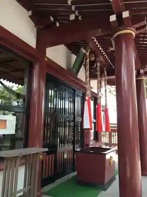 鹿児島神社(鹿児島県)