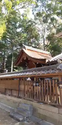 龍宮神社の本殿・本堂