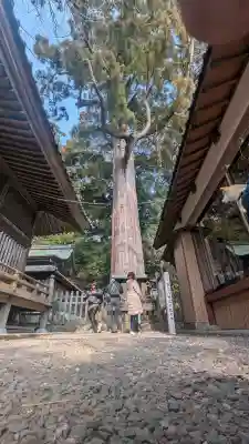 事任八幡宮(静岡県)