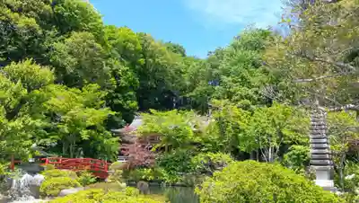 貫井神社(東京都)