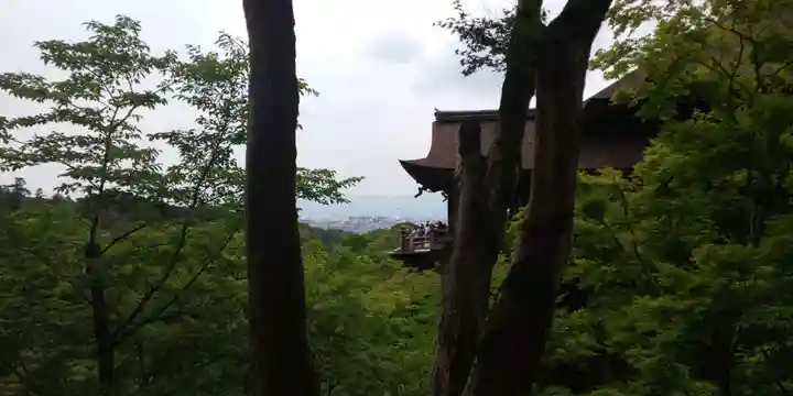 清水寺(京都府)