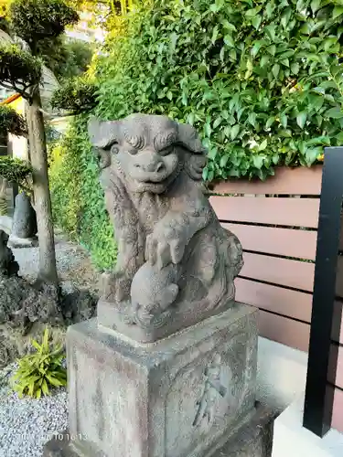 太田杉山神社・横濱水天宮の狛犬