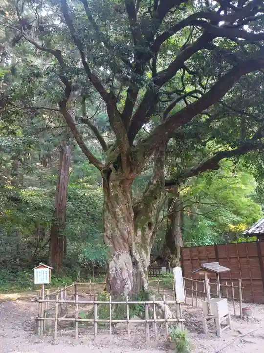 小國神社の庭園