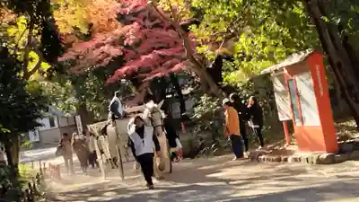 賀茂御祖神社（下鴨神社）(京都府)