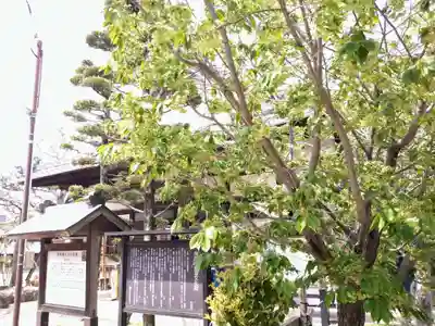 松應寺(愛知県)