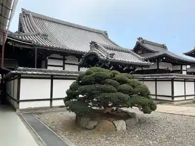 大谷本廟のその他建物