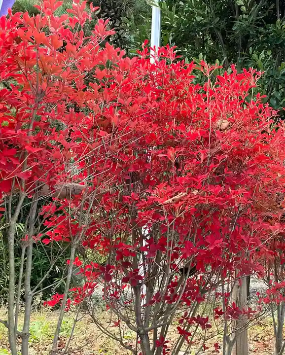 立鉾鹿島神社の自然