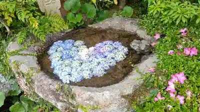 普門寺(岡山県)