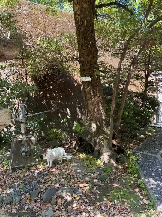 久國神社の{uncategorized: "未分類", other: "その他", undefined: "問題あり", building: "その他建物", grave: "お墓", sacred_gate: "鳥居", guardian: "狛犬", statue: "像", buddha: "仏像", history: "歴史", nature: "自然", garden: "庭園", animal: "動物", pagoda: "塔", temizu: "手水舎", mountain_gate: "山門・神門", sanctuary: "本殿・本堂", subordinate: "末社・摂社", art: "芸術", scenery: "景色", jizo: "地蔵", ema: "絵馬", goshuin: "御朱印", omikuji: "おみくじ", items: "授与品その他", amulet: "お守り", goshuincho: "御朱印帳", eats: "食事", festival: "お祭り", votive_dance: "神楽", shichigosan: "七五三参", wedding: "結婚式", experience: "体験その他", initially: "初詣", around: "周辺", anti_infection: "感染症対策"}