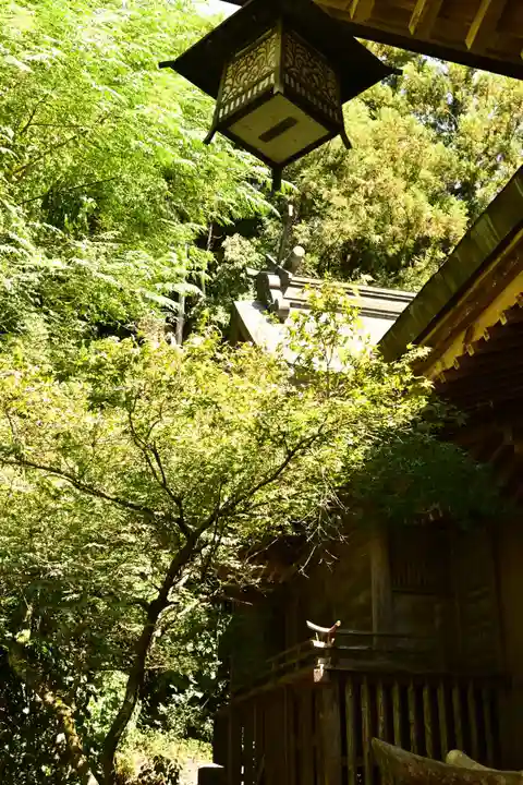 大水上神社(香川県)