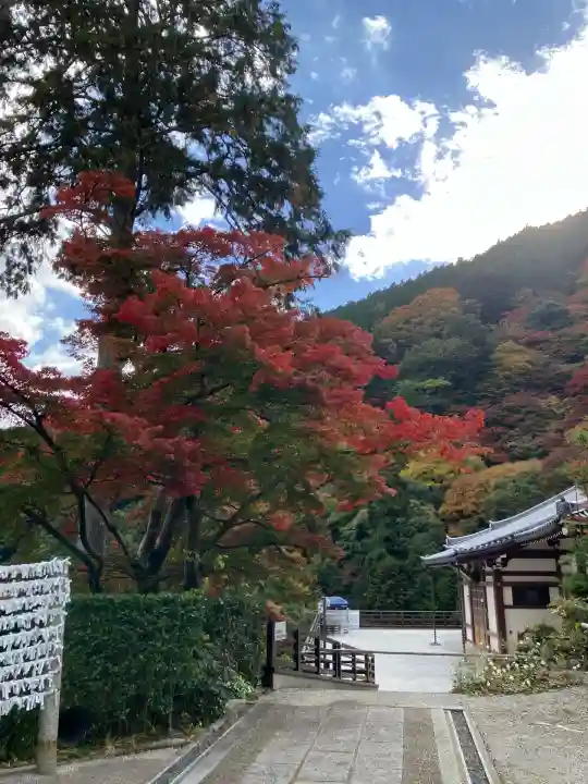 善峯寺(京都府)