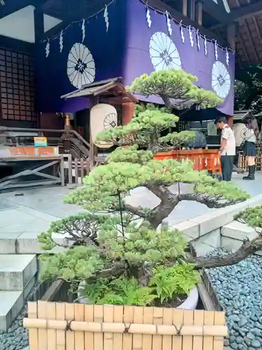 東京大神宮(東京都)