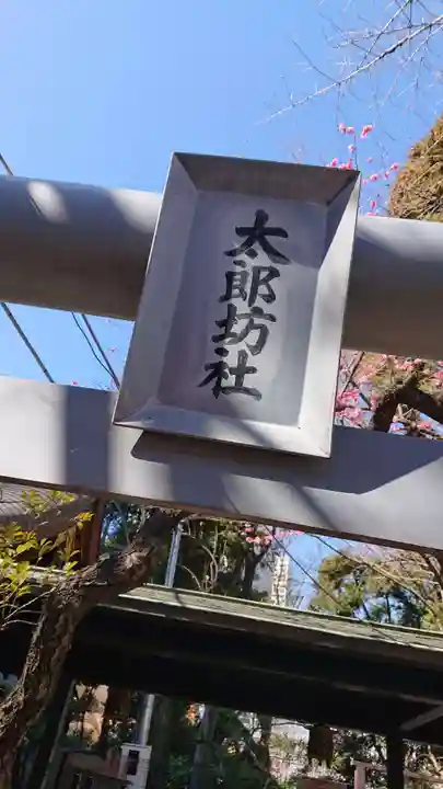 愛宕神社のその他建物