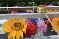 豊景神社の手水舎