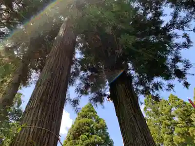 渋川八幡宮のその他建物