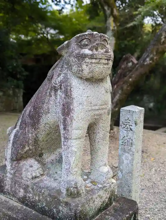 中山神社の狛犬