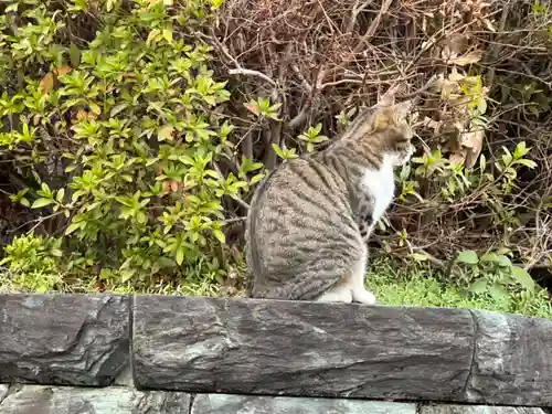 王子神社(徳島県)