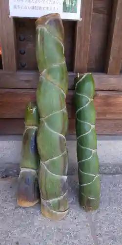 小垣江神明神社の自然