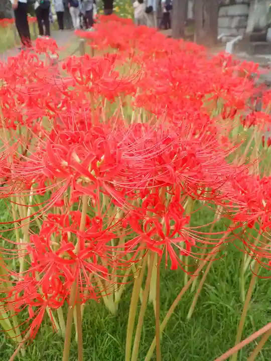 横浜 西方寺(神奈川県)