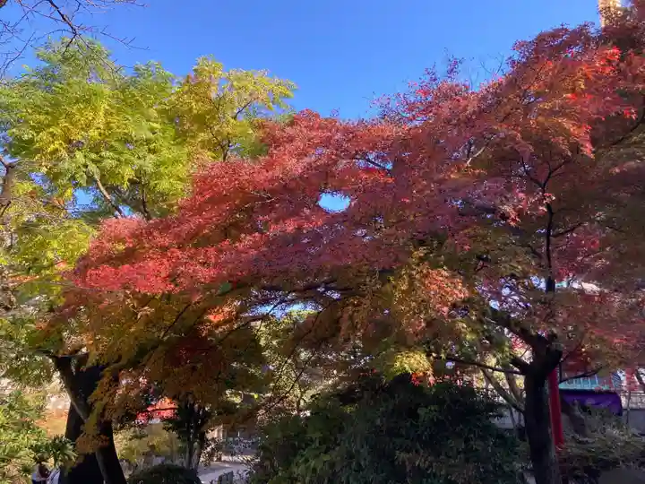 高幡不動尊 金剛寺(東京都)