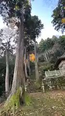 布勢立石神社(滋賀県)