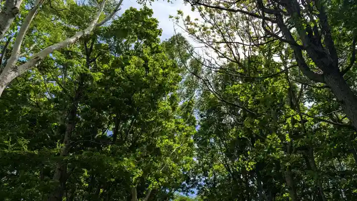 更喜苫内神社(北海道)