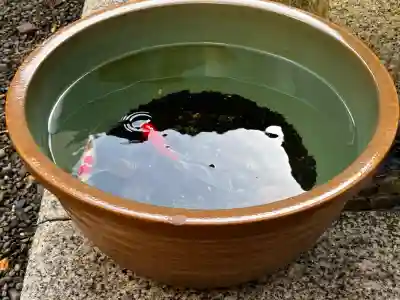 日本橋日枝神社の{uncategorized: "未分類", other: "その他", undefined: "問題あり", building: "その他建物", grave: "お墓", sacred_gate: "鳥居", guardian: "狛犬", statue: "像", buddha: "仏像", history: "歴史", nature: "自然", garden: "庭園", animal: "動物", pagoda: "塔", temizu: "手水舎", mountain_gate: "山門・神門", sanctuary: "本殿・本堂", subordinate: "末社・摂社", art: "芸術", scenery: "景色", jizo: "地蔵", ema: "絵馬", goshuin: "御朱印", omikuji: "おみくじ", items: "授与品その他", amulet: "お守り", goshuincho: "御朱印帳", eats: "食事", festival: "お祭り", votive_dance: "神楽", shichigosan: "七五三参", wedding: "結婚式", experience: "体験その他", initially: "初詣", around: "周辺", anti_infection: "感染症対策"}