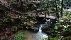 玉野御嶽神社の自然